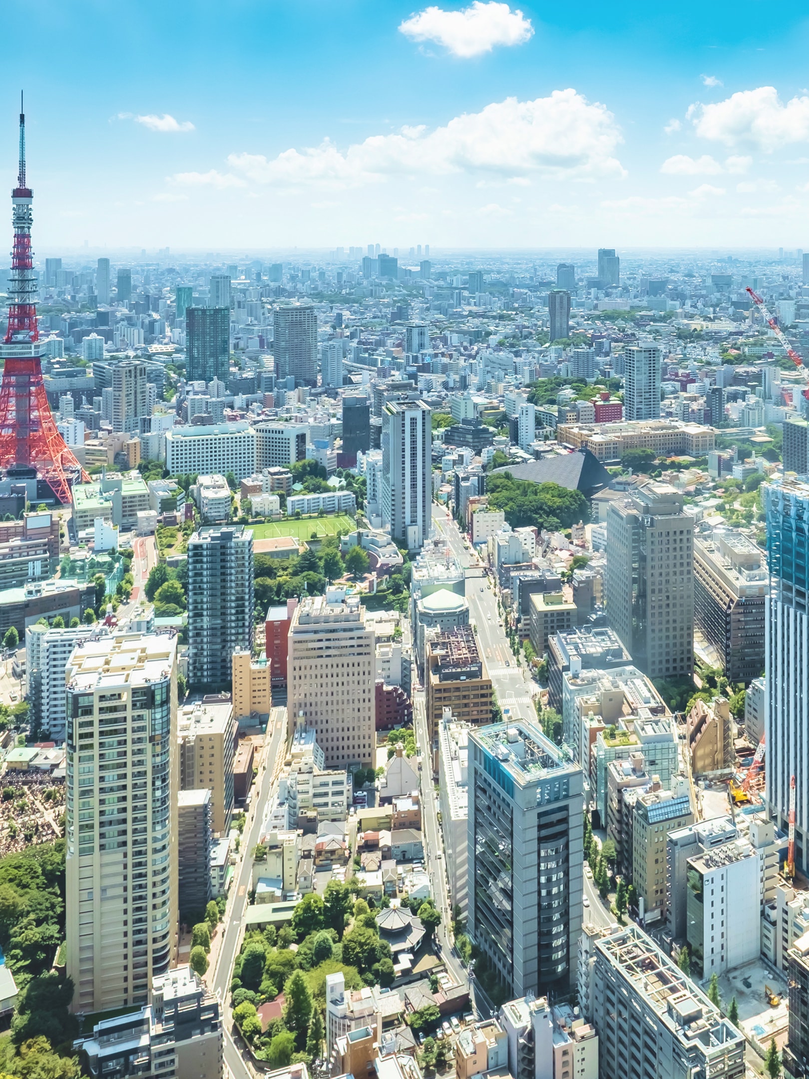 わたしたちについて