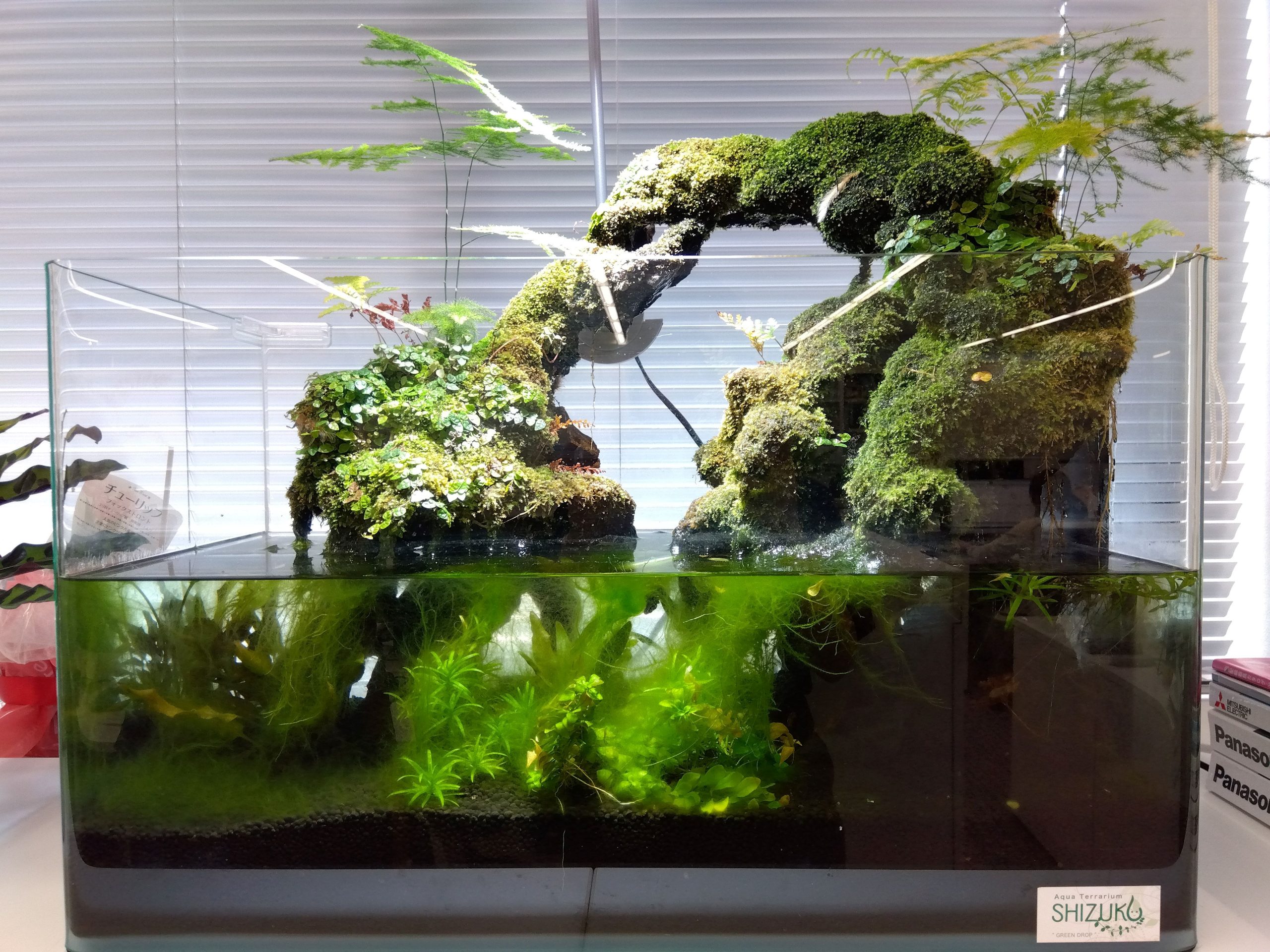 夏季休暇のお知らせ